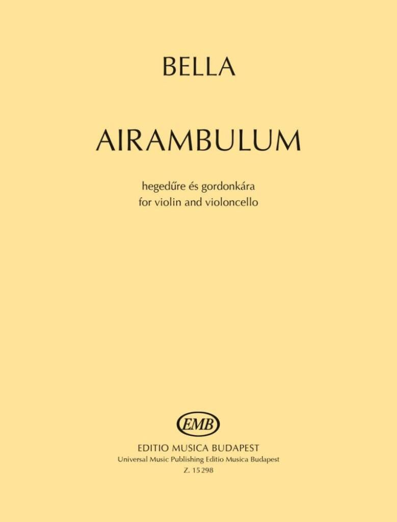 Airambulum
